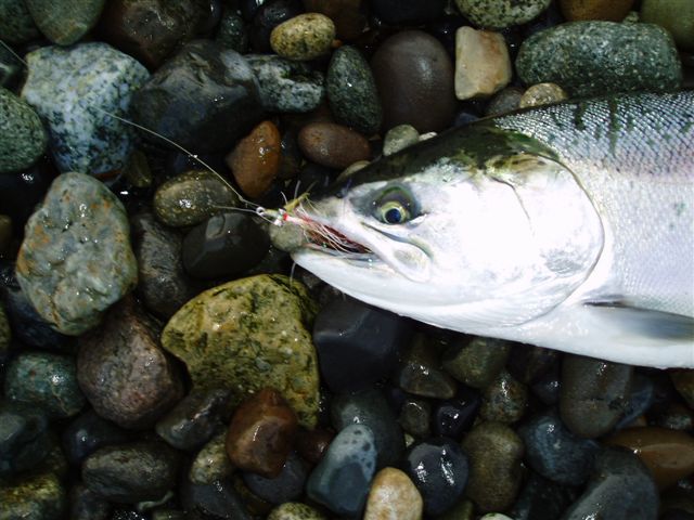 PS Salt 061.jpg